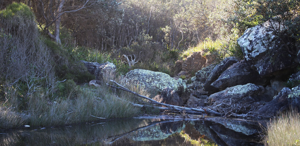 Kylies Beach, Crowdy Bay National Park