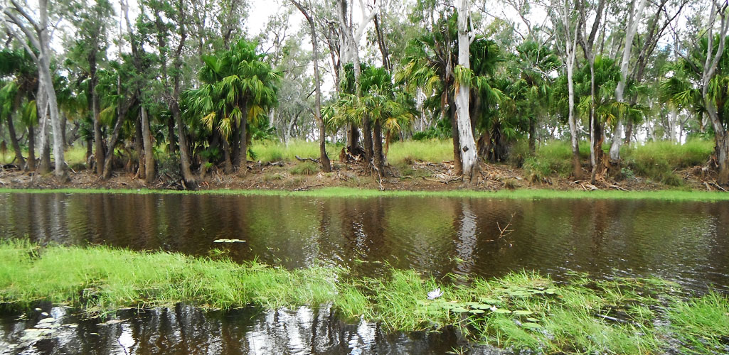 Caliguel Lagoon, Queensland