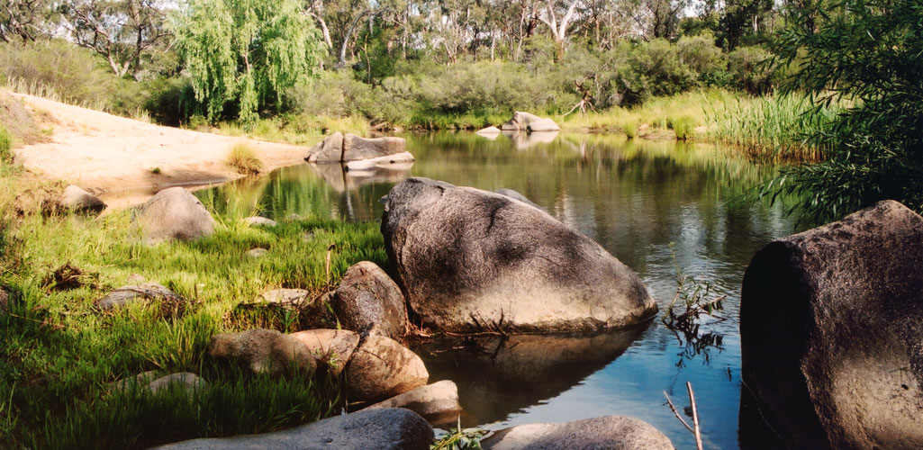 Wooldridge Reserve near Uralla