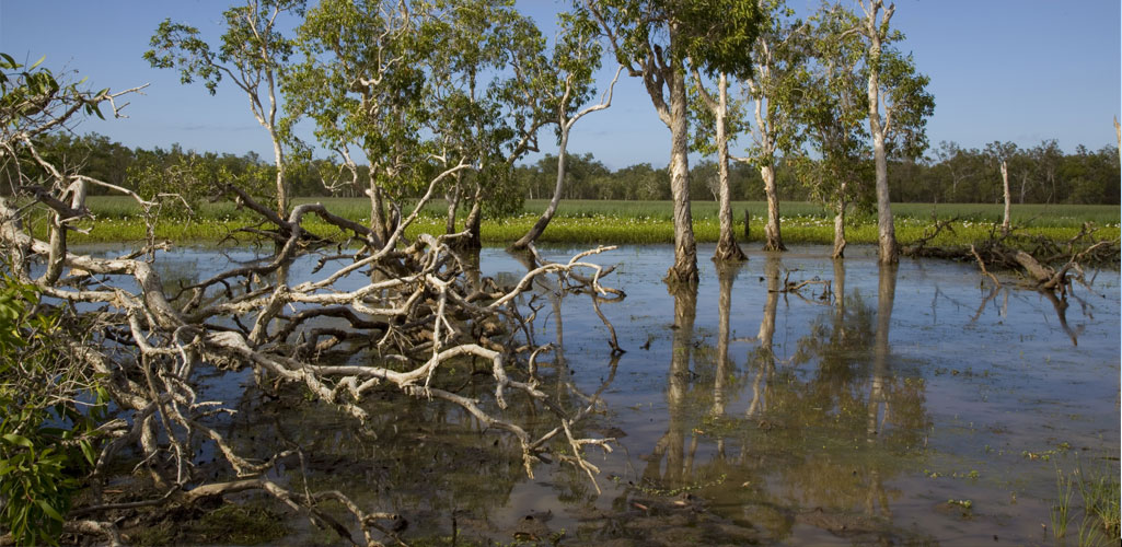 Mungkan Kunju National Park