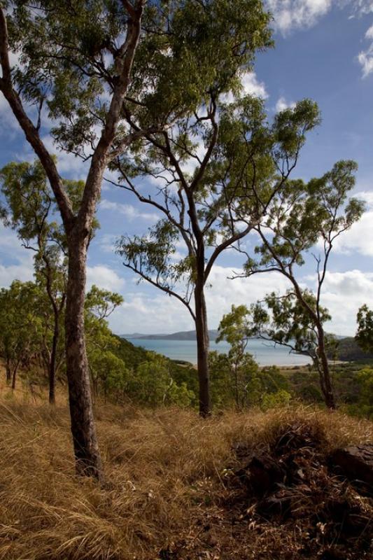 Views from the headland at Bathurst HeadThe track that leads up the headland is a little steep, but if you are out here, you have a decent 4wd and it shouldn't cause too many problems.