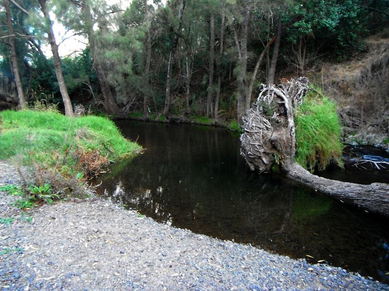 Peel River at WoolominThere are a couple of small tracks that lead down to the creek from the Woolomin Camp sites`