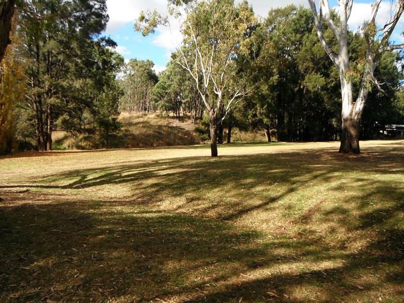 Wallabadah Camping AreaThe camping area is large, level, well grassed, and has plenty of shade.
