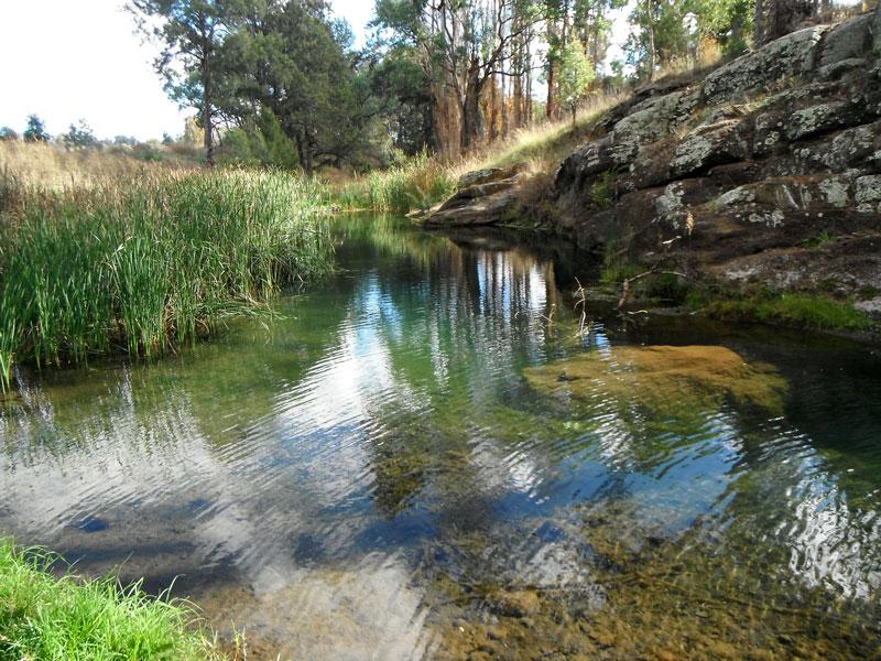 Quirindi CreekCould be tempting to cool off here in summer.