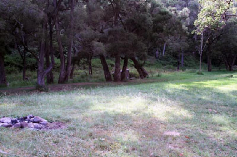 Heifer Creek CampgroundNice grassy campsites and plenty of shade.