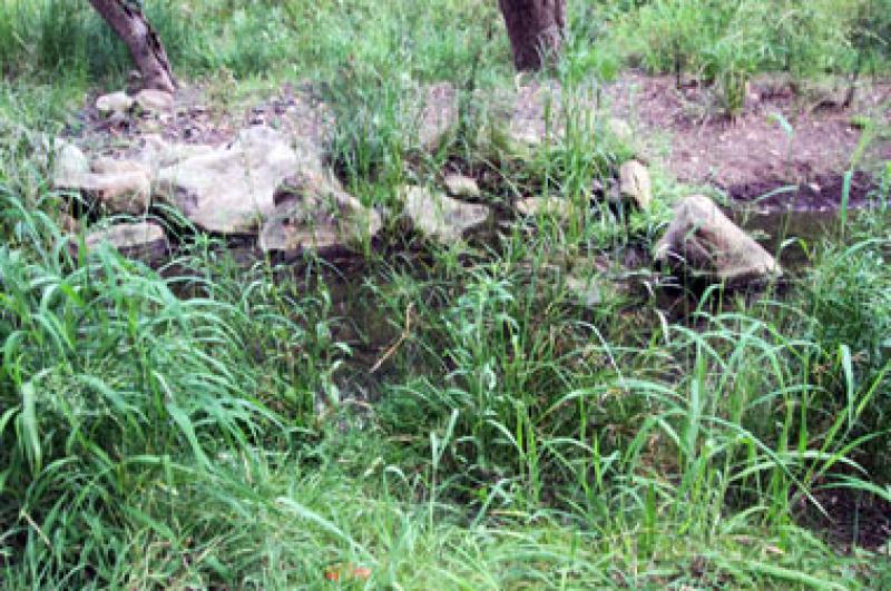 Heifer CreekAnother shot of the creek, it is fairly small but would be handy for washing up water.