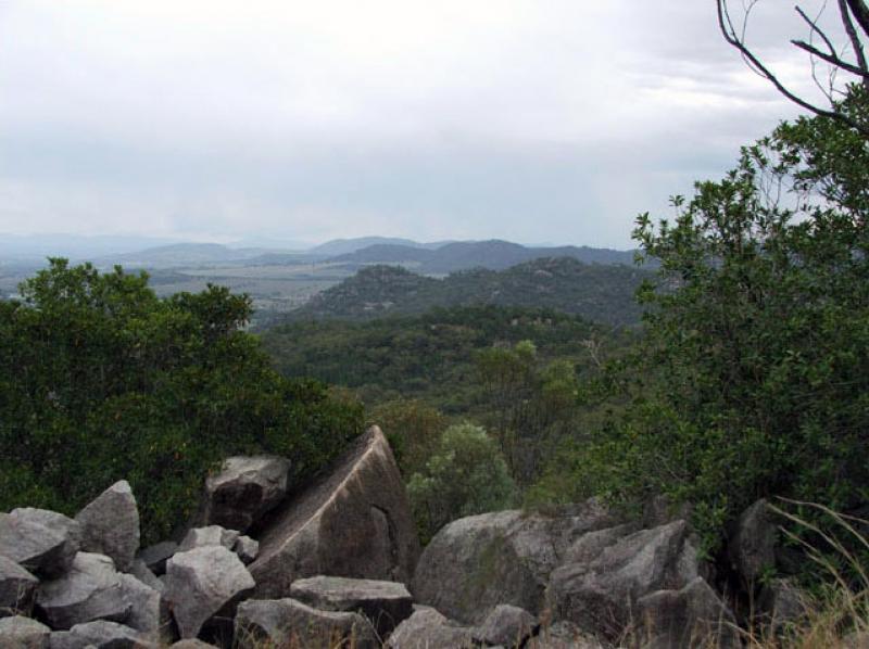 Oxley Wild RiversAlong the track to Youdales Campground