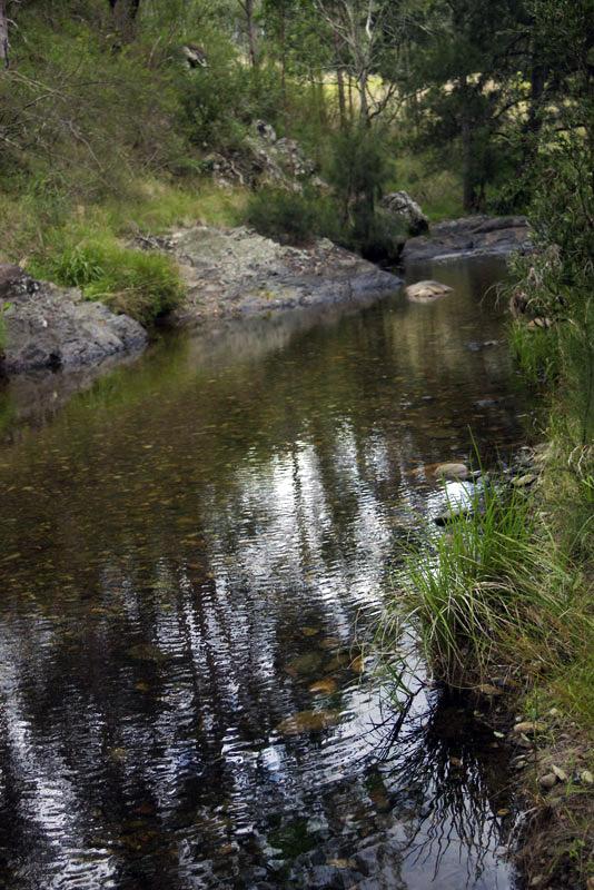 Creek in Oxley Wild RiversOne of the pretty spots on the track to Youdales