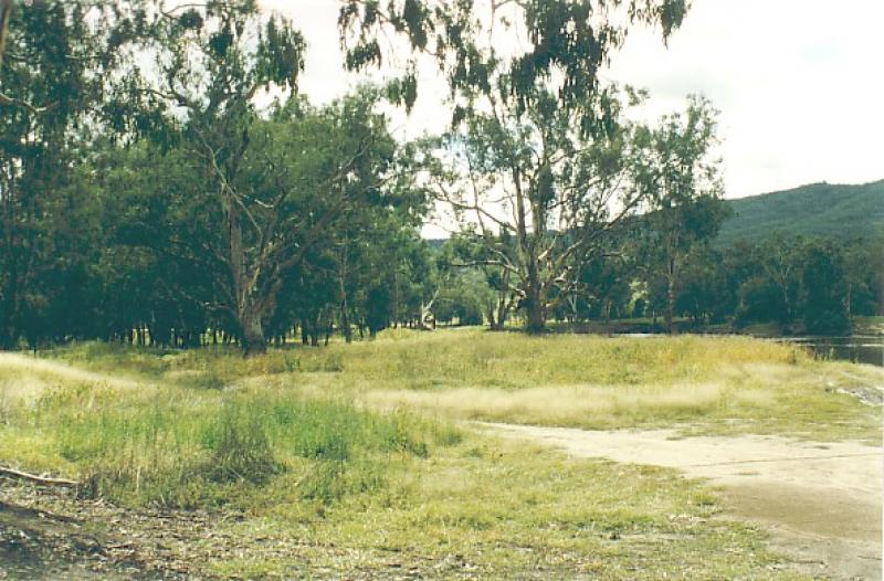Campground at Kennedys Reserve