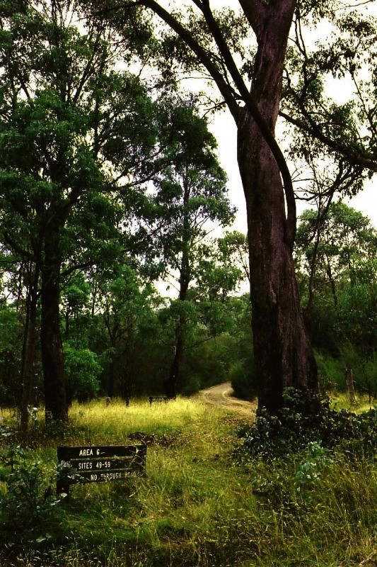 Jerusalem Creek CampgroundThanks to <a href=\'http://www.findacamp.com.au/user-profile.php?member=37\'> Peter</a> for this image.