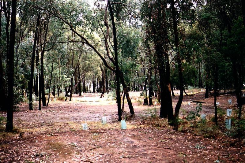 Lakeside Campground - Lake Eildon National Park