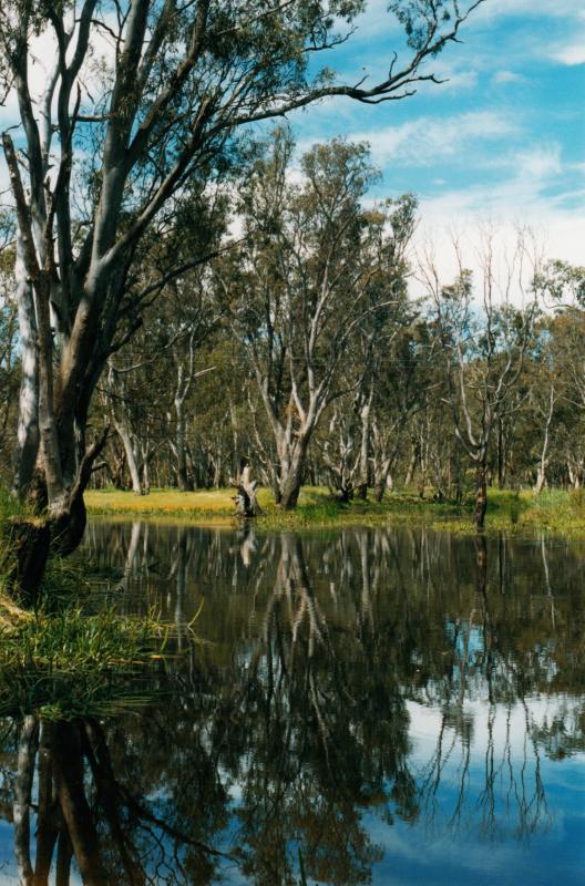 Harrow - Glenelg River