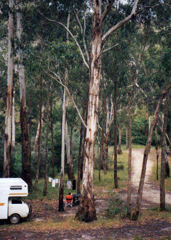 WaterfallsAlso know as Number 2 Creek Crossing, a campground near Avoca in Pyrenees State Forest. Thanks to <a href=\