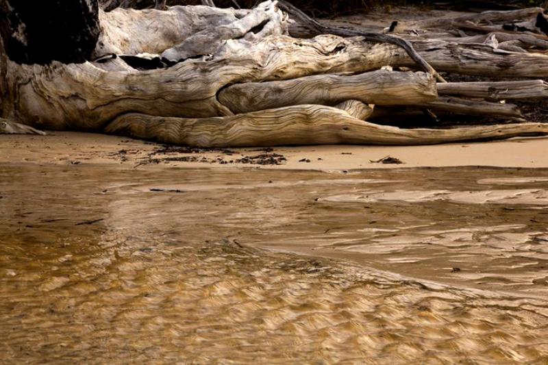 Driftwood on Elim BeachThis is a beautiful stretch of coast, well worth a wander up the beach.