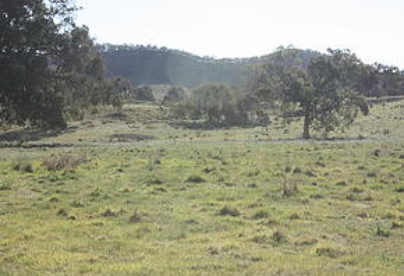 Galah Campsite