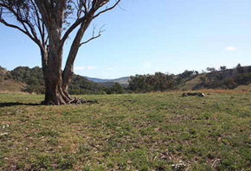 Hare Campsite