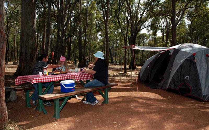 Lake Leschenaultia camping siteLevel campsites shaded by native bush.