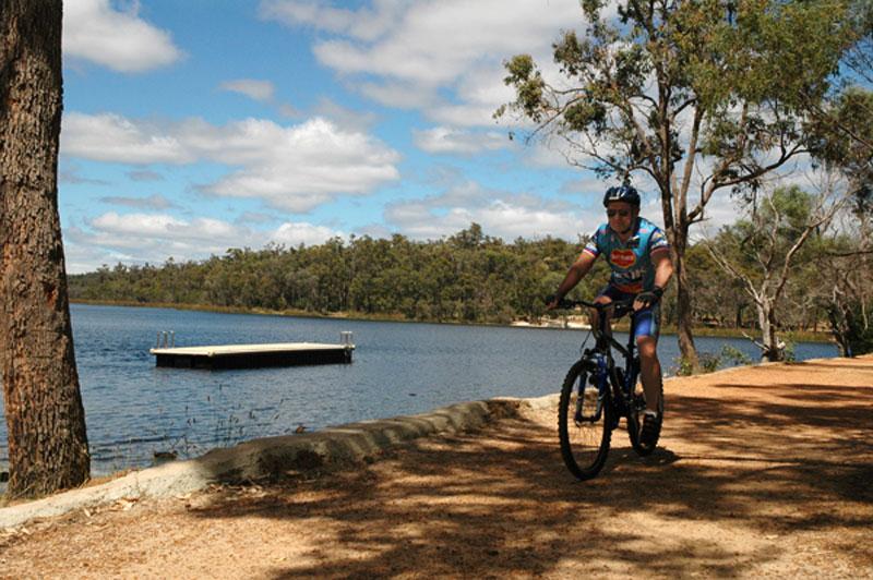 Mountain biking at Lake LeschenaultiaThere are over 10km of walking/biking trails at Lake Leschenaultia