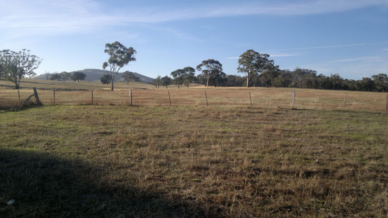 Wishbone Therapy Farm