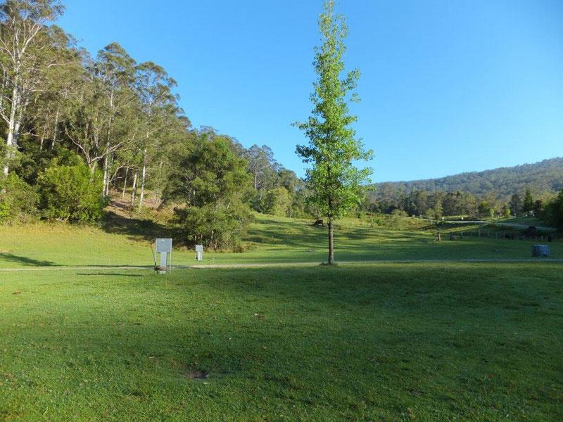 Camping areaLarge grassy campsites at Ferndale Park