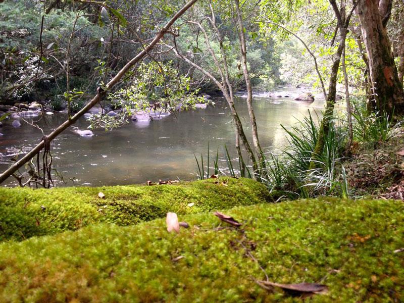 The River at Ferndale ParkFerndale Park is on the river, downstream from Chichester Dam