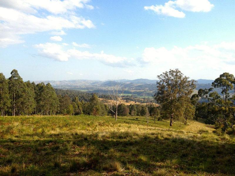 Top PaddockGreat views from the ridge in the top paddock.