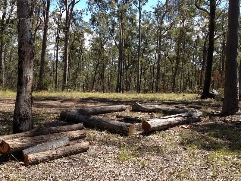 Scenic Rim Adventure Park