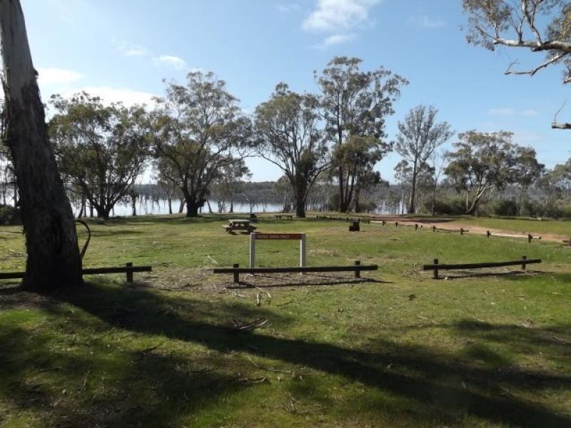 Glendinning CampgroundCamp area