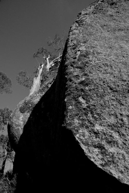 Trees hang precariously to the huge granite bouldersThe Warrigal walking track, although only short, still gives you a good feel of what this park has to offer.