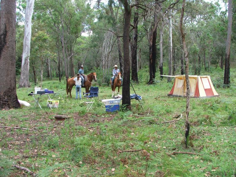 SprinvalePrivate bush camping