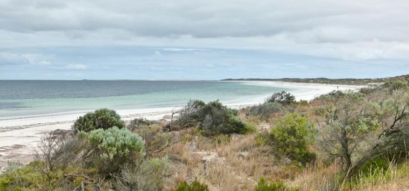 Wauraltee BeachWauraltee Beach from the camp areas to the South of the beach entrance 