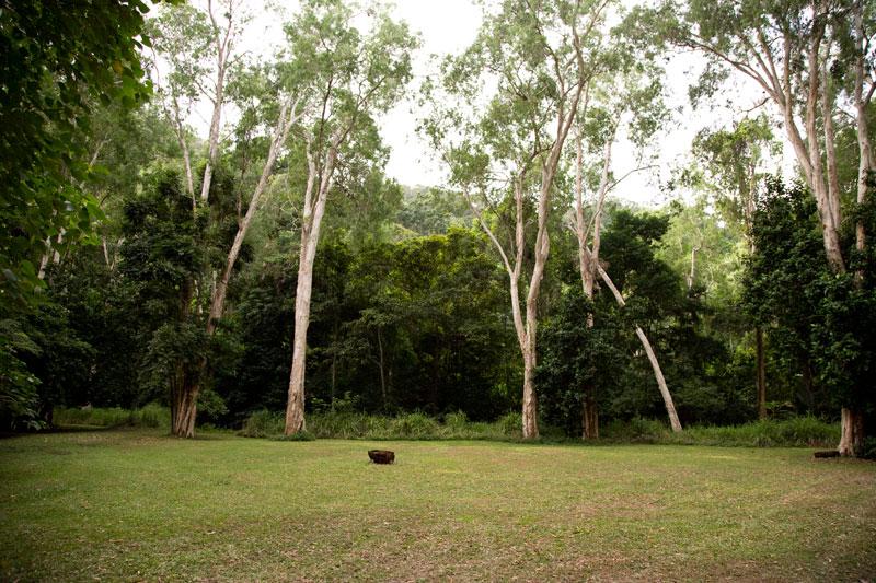 Un-powered CampsitesUnder Paperbark trees, a stones throw from the beach.