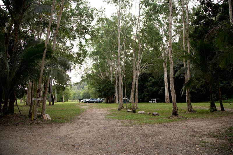 Powered CampsitesOpen grassy area, with plenty of shade