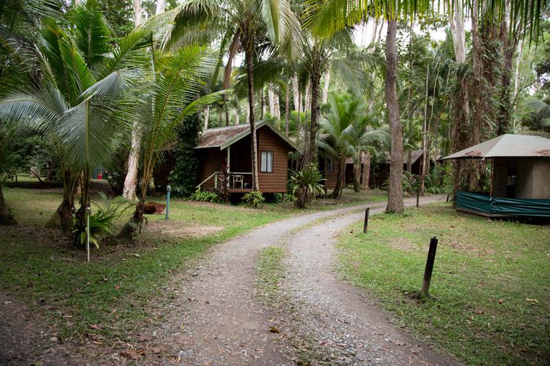 Koala Resort Caravan ParkCabins