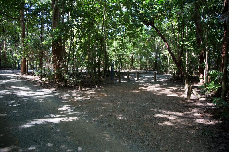 Campsite 5Slightly larger campsite.