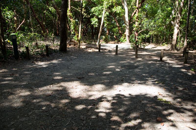 Campsite 7Another of the larger sites.