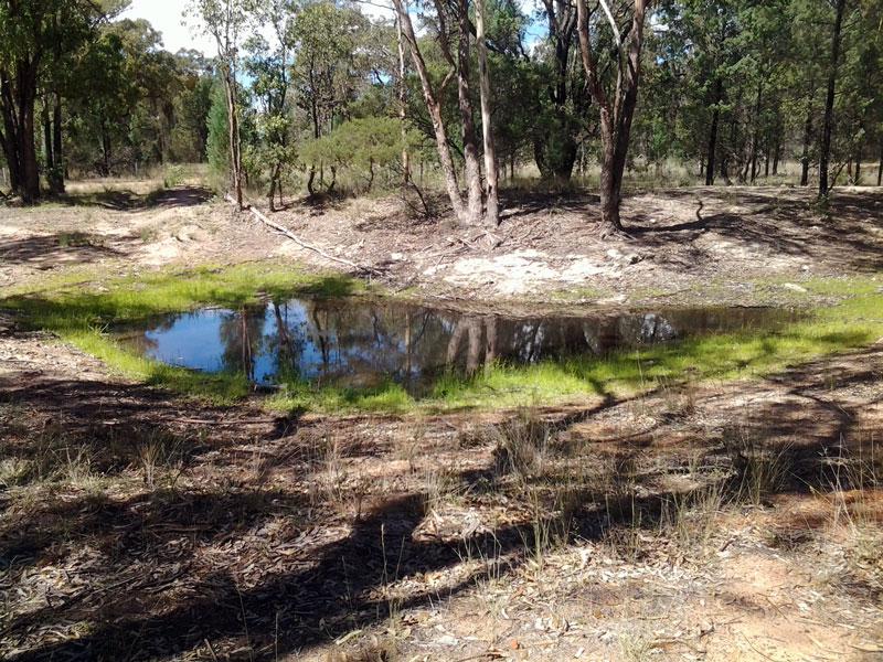 Dam at Lucky FlatI guess that this would often run dry