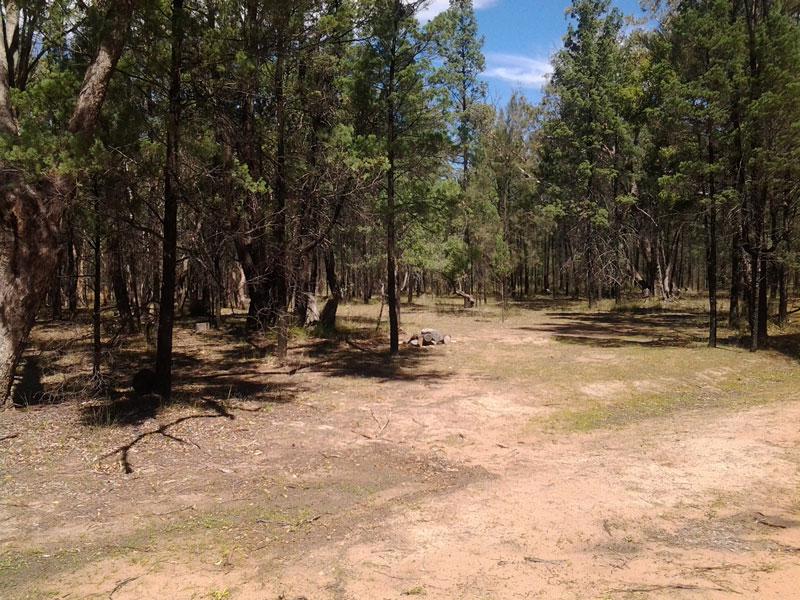 Lucky Flat CampgroundPilliga National Park