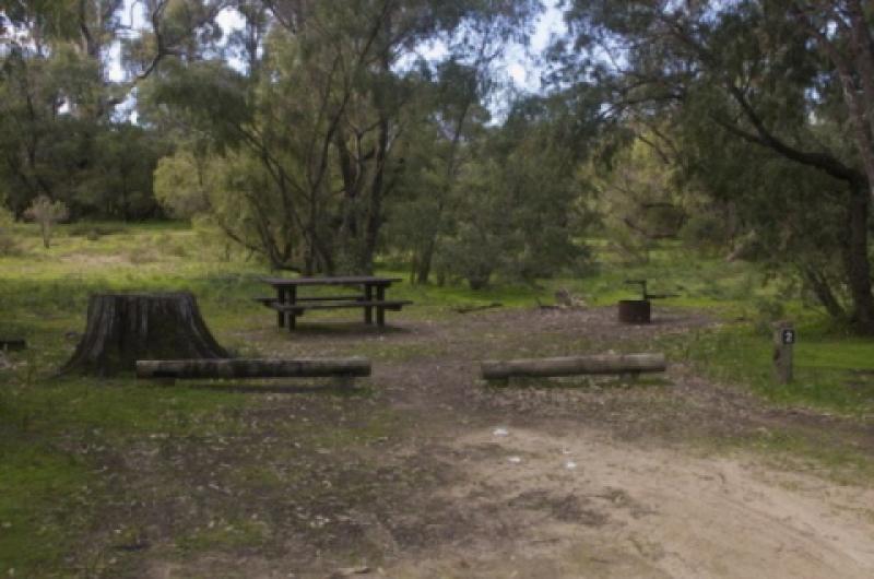 Belvidere BeachTent site at Belvidere Campground