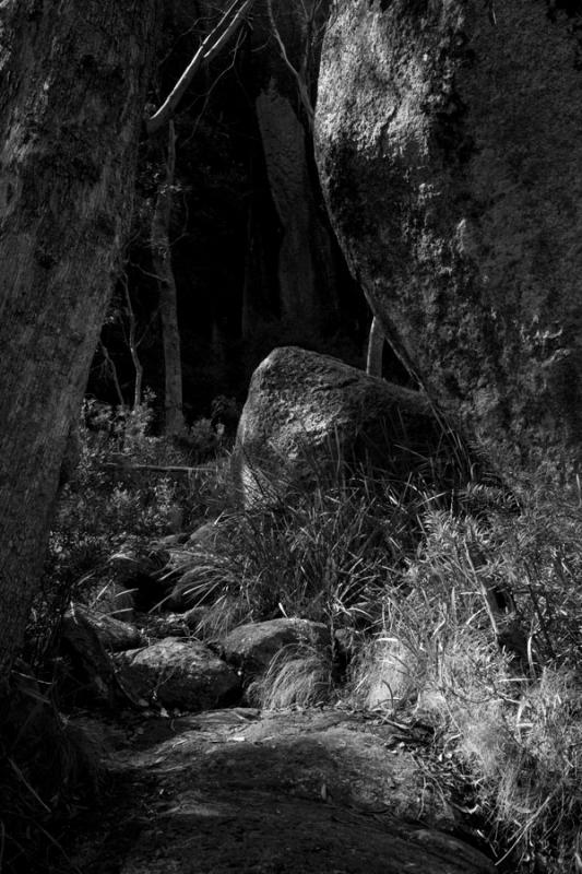 Hidden path through the bouldersNot far from the walking track to Cathedral rocks