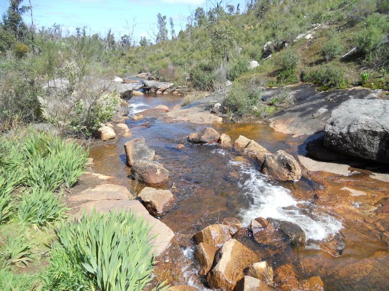 Marrinup (Townsite)Marrinup Falls Walk Trail - not far from campground