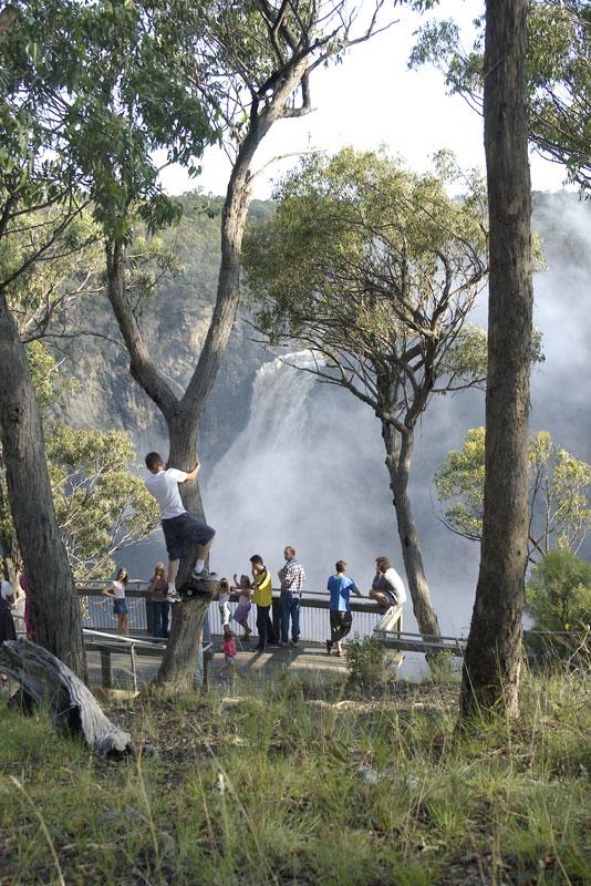 Worth climbing a tree for..Dangars Falls after very heavy rain