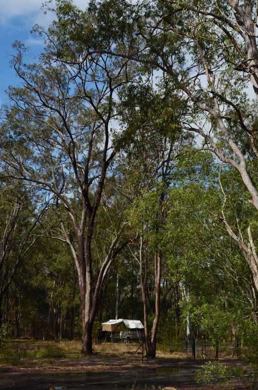 Wongi Waterholes