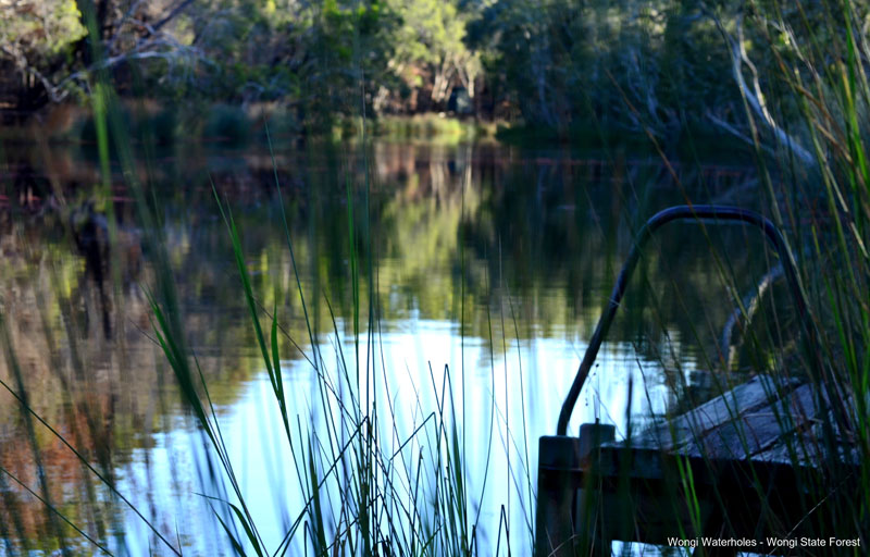 Wongi Waterholes