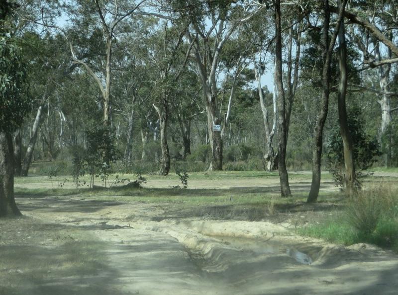 Majors Creek ReserveSome access restricted for low vehicles by ruts