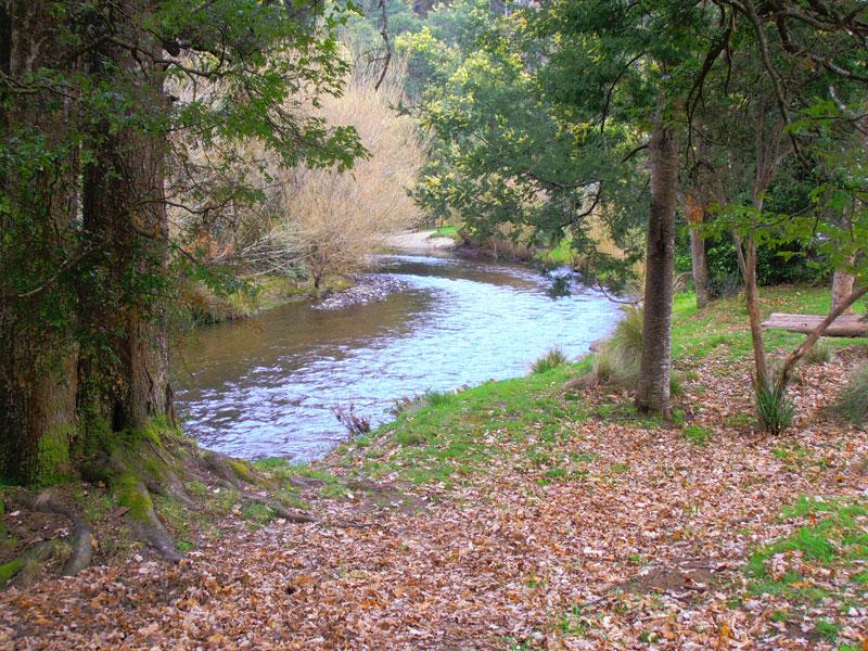 Myrtle ParkOn the banks of the St Patricks River