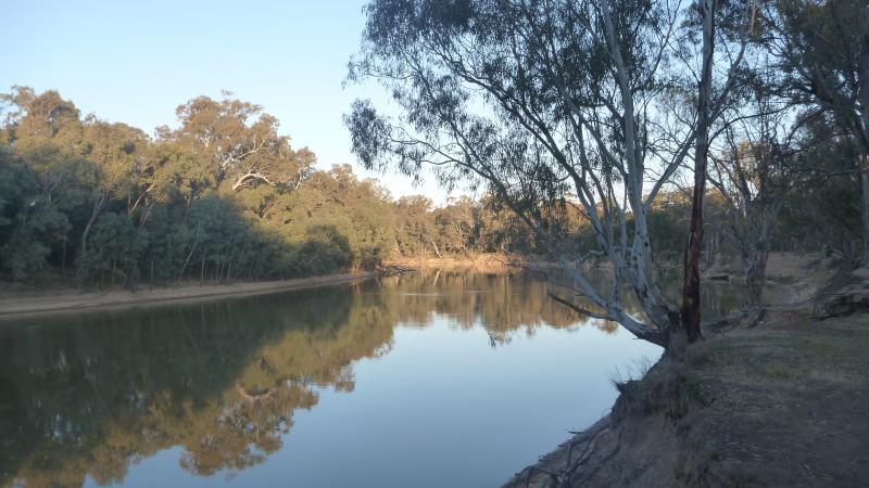 Gunbower Island State Forest