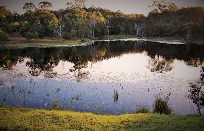 Cullendore High Country