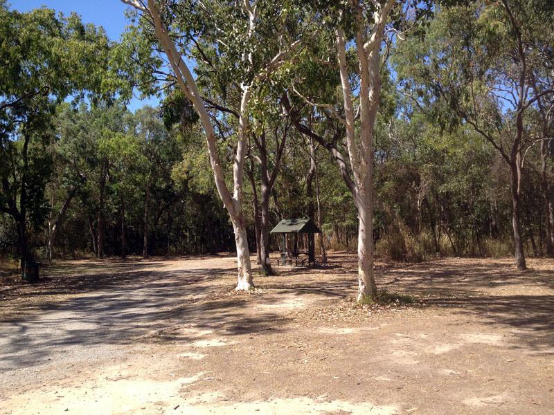 Rifle Creek Rest AreaLarge, level and shady sites, suitable for vans