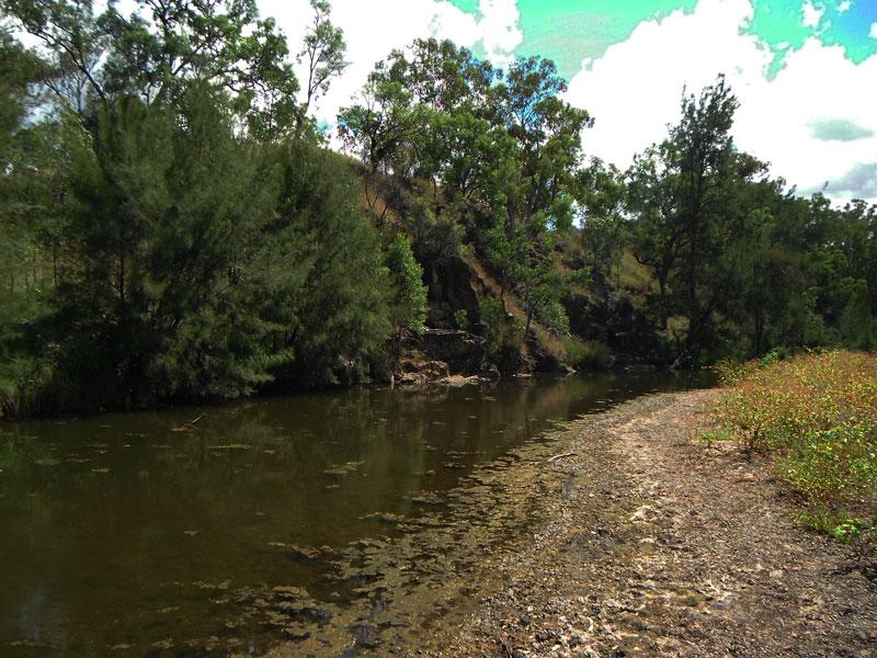 Cockburn River AlgaeThe river tends to be a bit polluted by the nearby farming (cattle) so the algae can be a problem. Not really the best swimming hole...